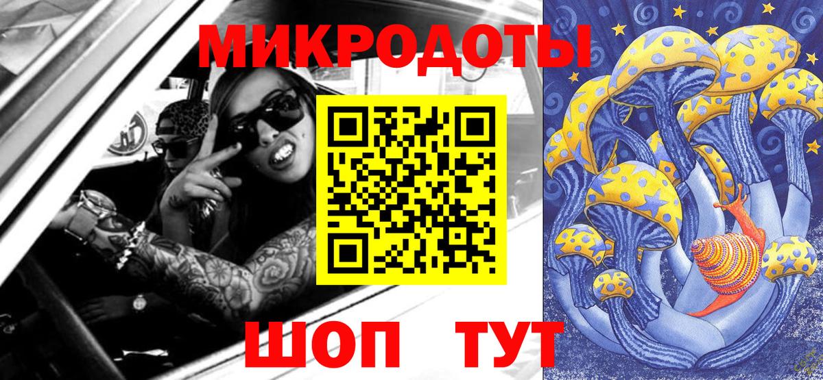 Галлюциногенные грибы прущие грибы Кандалакша